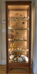 Coral reef Cabinet